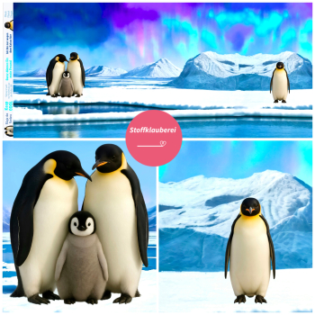 "Plitsch Platsch Pinguin" French Terry