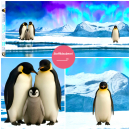 "Plitsch Platsch Pinguin" French Terry